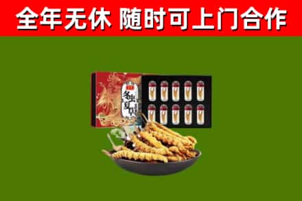 湖南省回收冬虫夏草价格